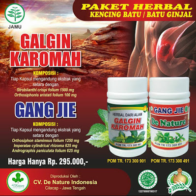 Illustration for article titled Obat Tradisional Buat Penyakit Batu Ginjal